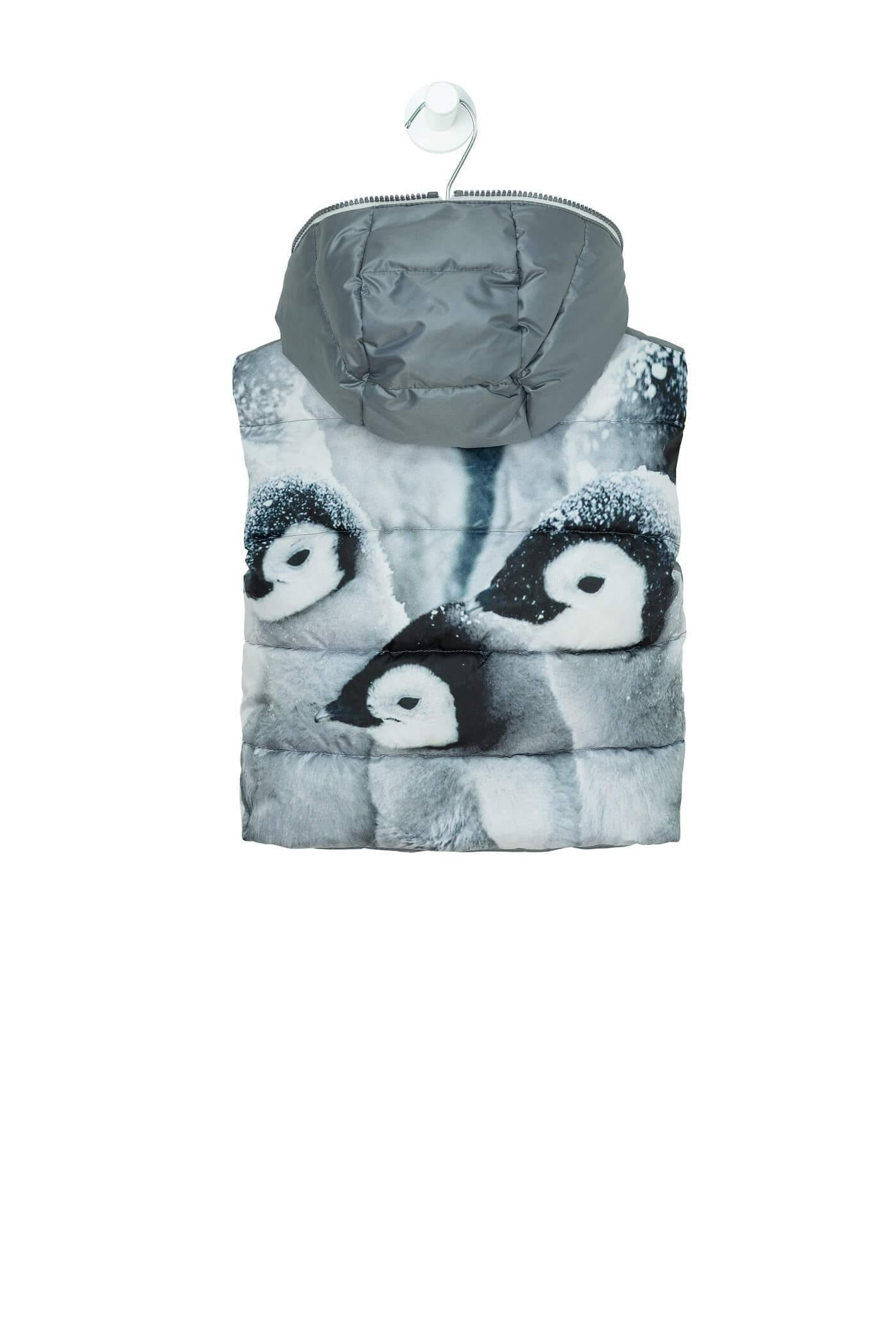 ROPA PARA NIÑOS - CHALECO GRIS CANZITEX - Modini Shop