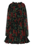 Dress with Dolce & Gabbana printed rose