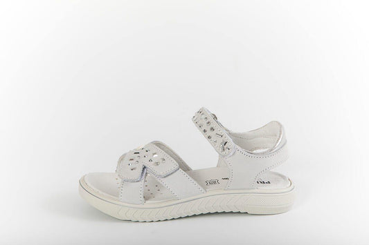 PAU 13840 - Modini Shop