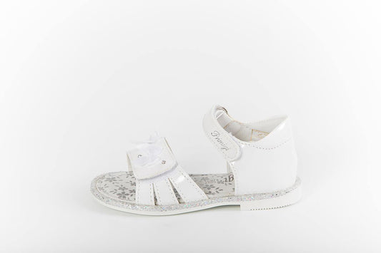 PHD 14167 - Modini Shop