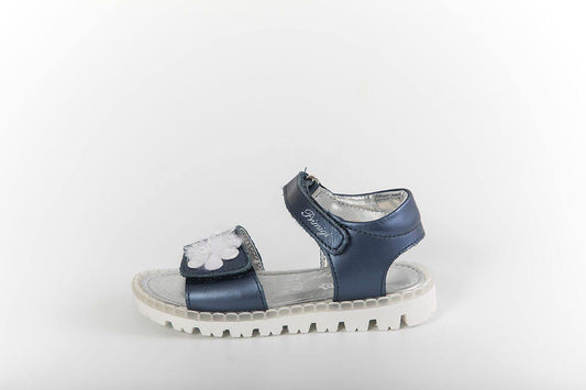 PHX 14172 - Modini Shop