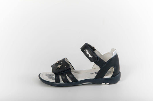 PPR 14276 - Modini Shop