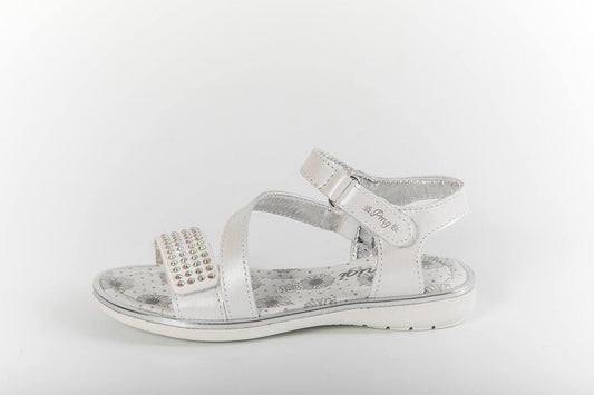 PDI 1436000 - Modini Shop